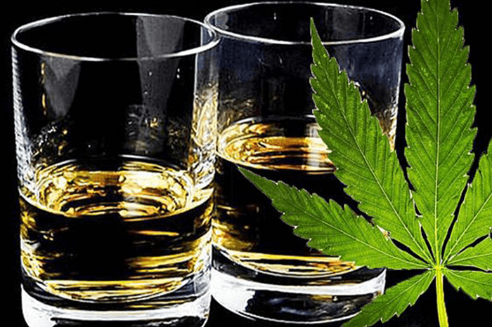 Lee más sobre el artículo Alcohol y marihuana, peligrosa combinación