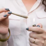 Cannabis: presentación, concentración y efectos psicoactivos